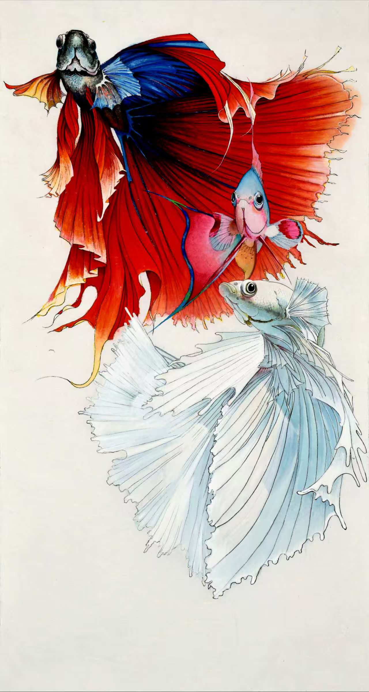 cdde9125de00288865fd1d1665edcf89