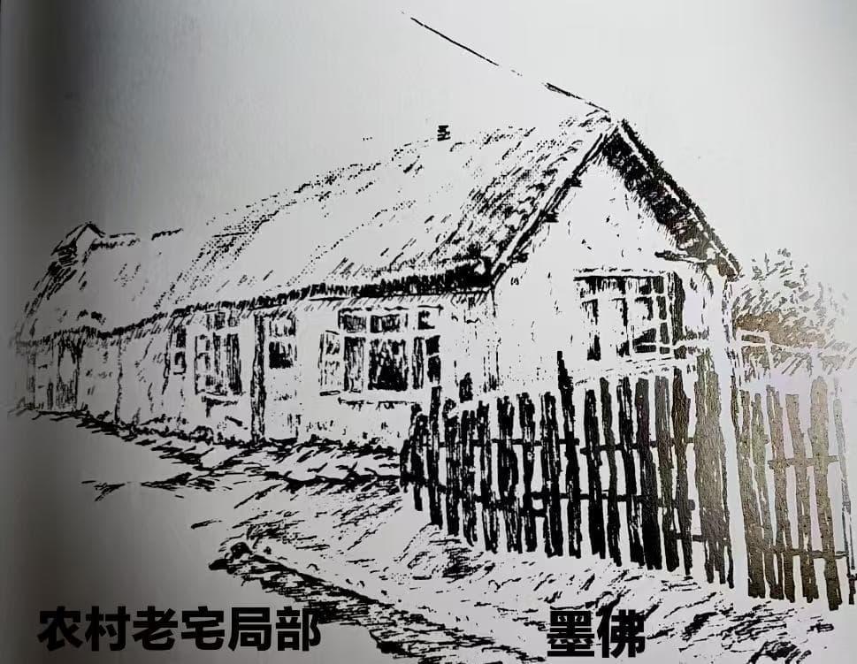 微信图片_20250630144202